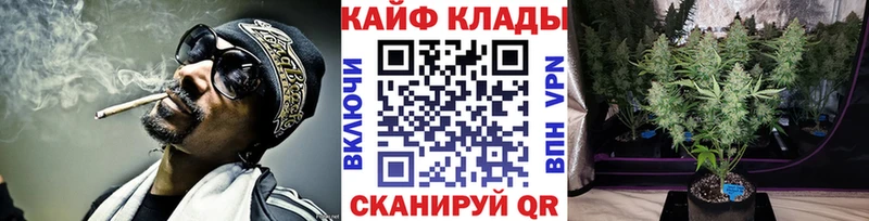 Купить закладку Конопля  Кокаин  Alpha PVP  Псилоцибиновые грибы  ГАШ  Мефедрон  Грайворон