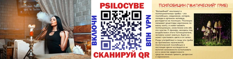 Купить где  Грайворон  Псилоцибиновые грибы прущие грибы 